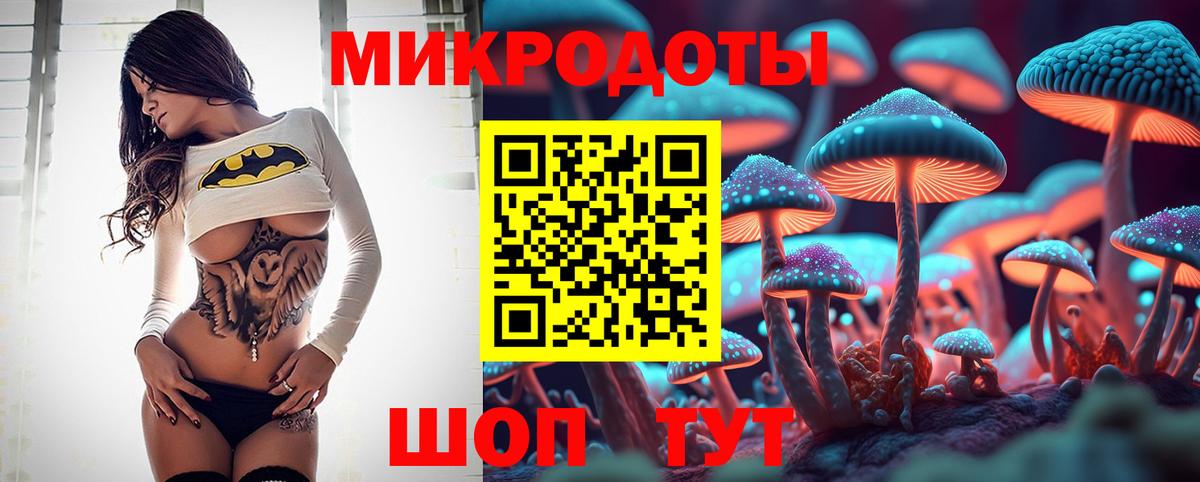 Галлюциногенные грибы Magic Shrooms Буйнакск