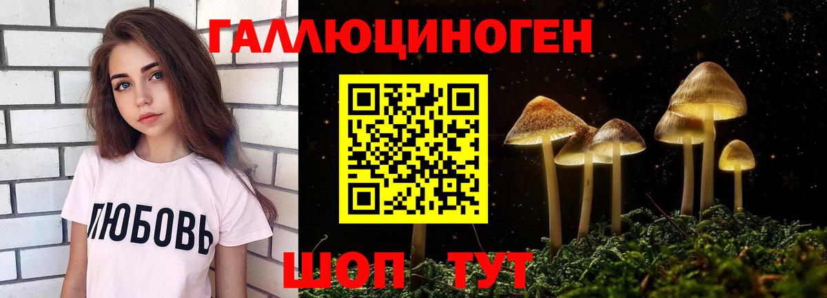 Буйнакск  даркнет сайт  Вход с VPN  Псилоцибиновые грибы Psilocybine cubensis  Псилоцибиновые грибы прущие грибы 